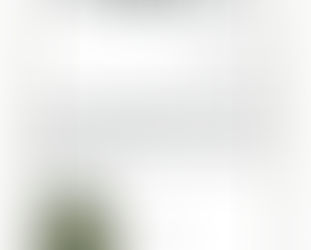 ㈜포나후렉스 비전기업 선정