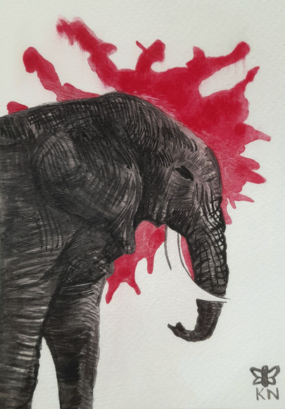 an-elephant-never-forgets.jpeg