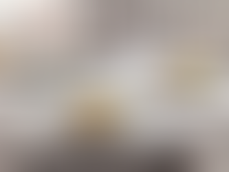 Villeroy & Boch Afina servies