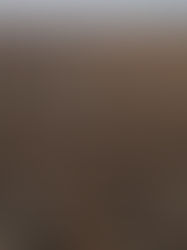 Unfruitful is Not Failure