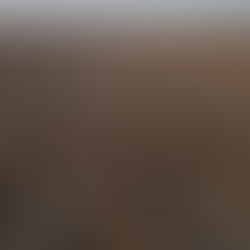 Unfruitful is Not Failure