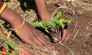  The Ground Between Us
