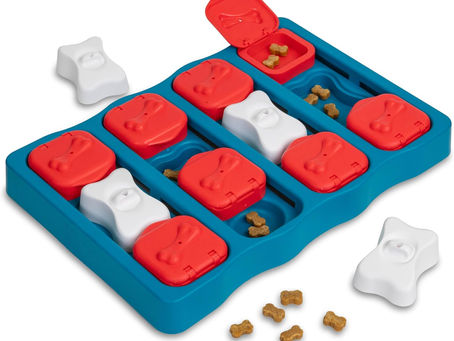 10 Irresistible Dog Toys Your Pup Will Thank You For (And You’ll Love Too!)