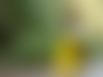  5 Brilliant Ways to Use Rosemary Oil Daily – #3 Changed My Hair!