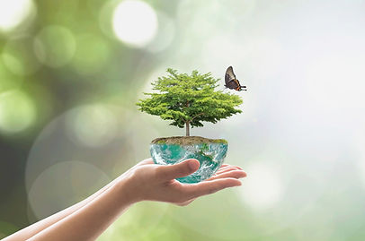 SIGSSMA Programas de Meio Ambiente 