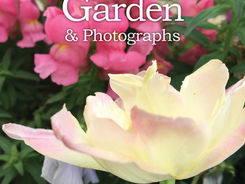 Granny's Garden is available in paperback. amazon.com/author/jean_ann_shirey