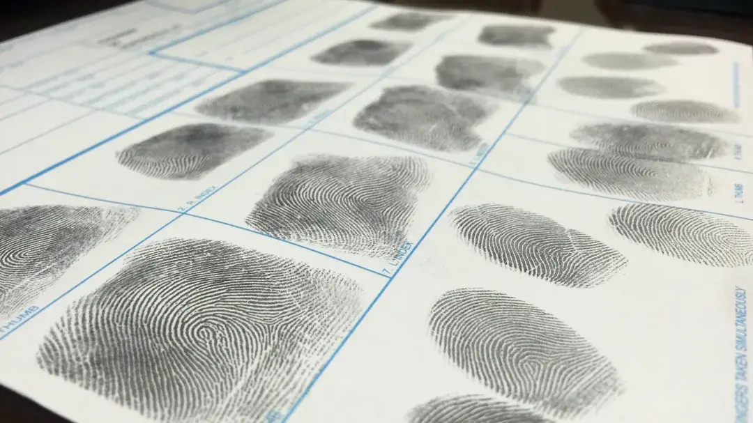 Precise fingerprint