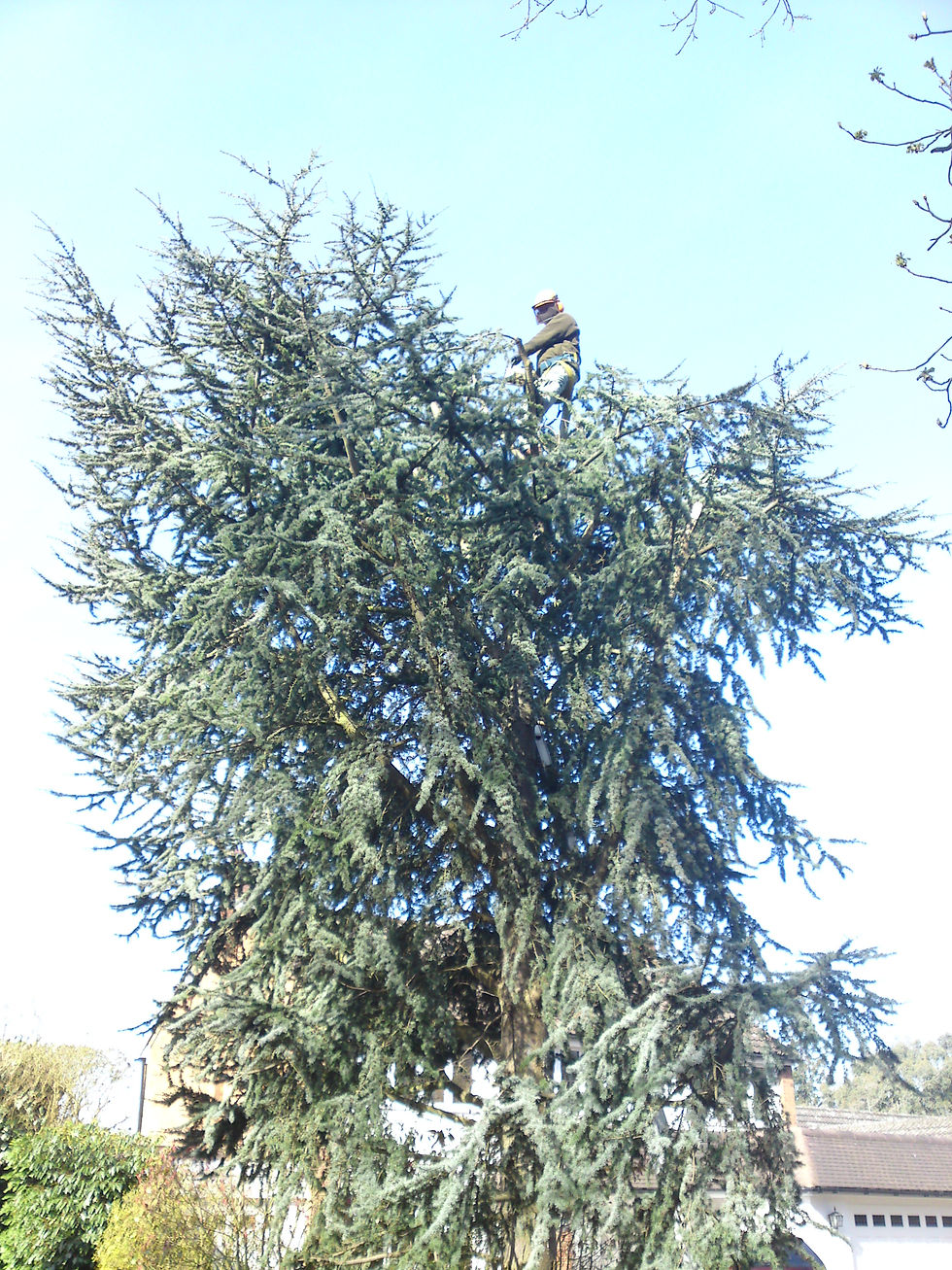 DSC00067.JPG