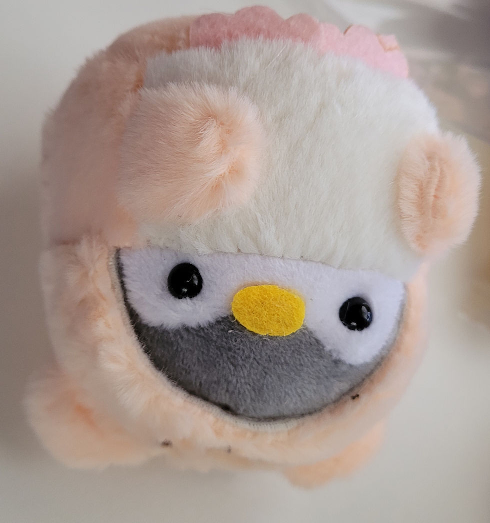 penguin bear top facing up