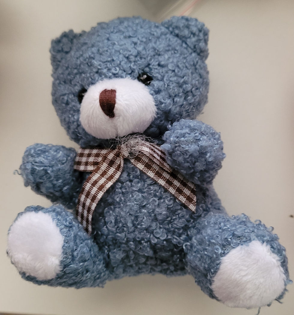 Thumbnail: KEYRINGS - PLUSH BEAR
