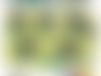 半年9人溺斃 暑假戲水注意安全