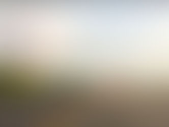 國道殺手！輪胎皮從天而降 嚇壞駕駛