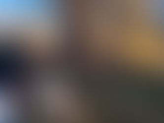 The Feathered Tenants: Who Really Owns St. James' Park in London?