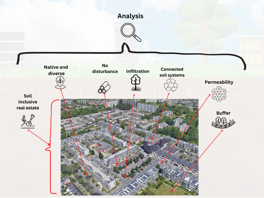 Soils under pressure: Practical Guidelines for soil-inclusive urban development
