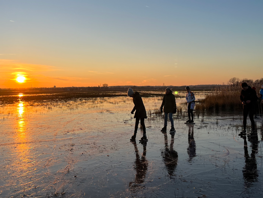 Editorial Leisure Landscapes