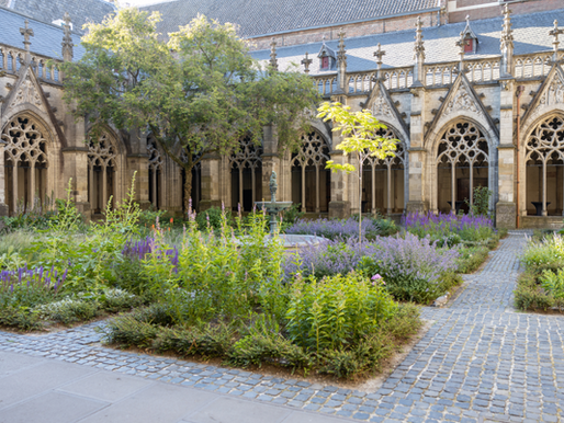 Mooi! - The Pandhof of the Domchurch