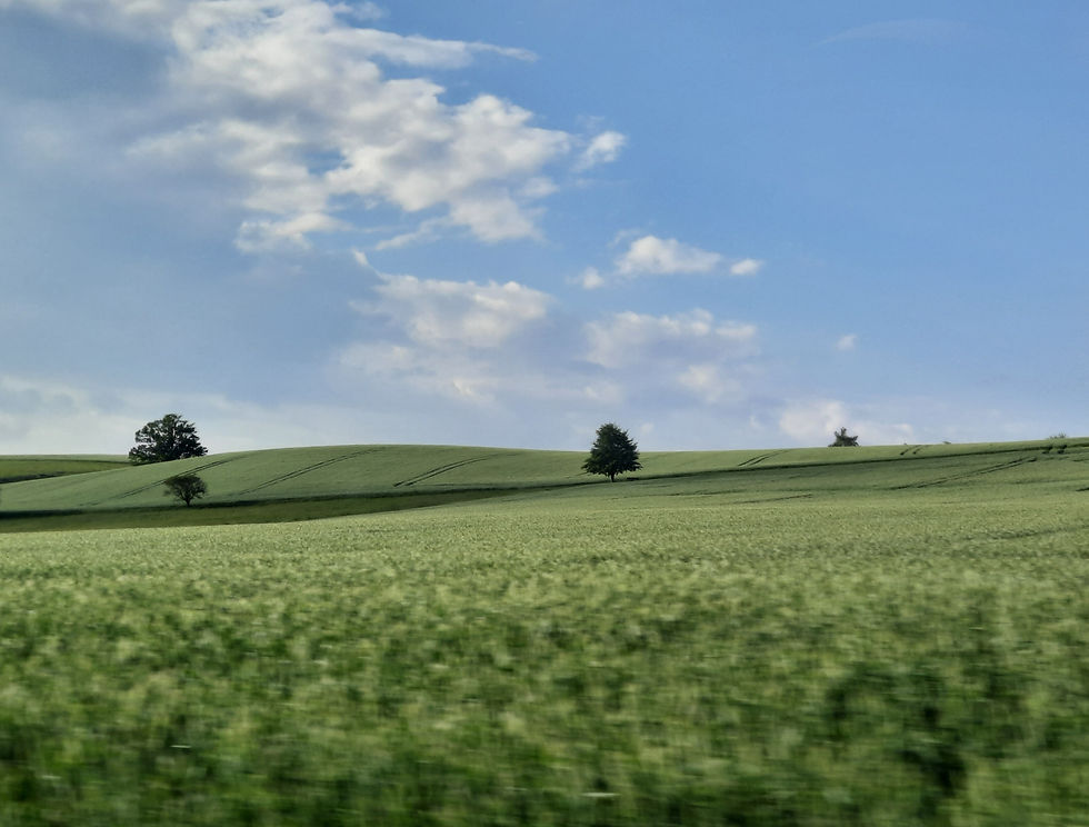 ree