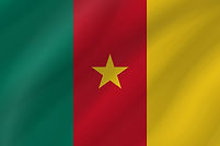 cameroon-flag-wave-xl.jpg