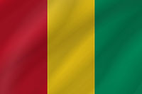 guinea-flag-wave-xl.jpg