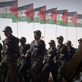 Iran-polisario connection exposed: U.S. Think-Tank warns of escalating threat to regional stability