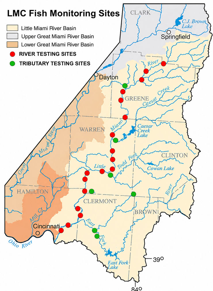 Biologists conducting river fish population survey.