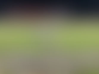 Etowah vs Centennial: Eagles offense ready to soar once again