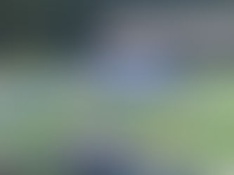 GHSA First Round Playoffs: Knights looking to take the sting out of the Hornets