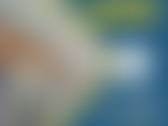 Enhancing Accessibility in Autumn: A Guide to Installing ADA Grab Bars in Your Home