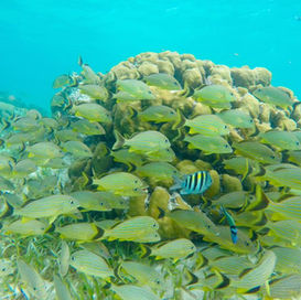 Dare to be different. Stand out in the crowd.