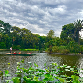 Sipping a hot cocoa at the Royal Botanical Gardens in Melbourne