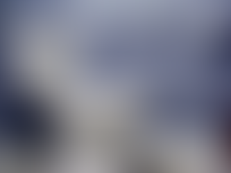 What is the Impact of ADA Grab Bars on Accessibility in Public Restrooms?