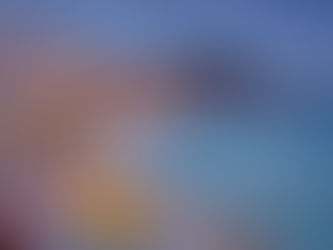 Hawaii Vacation Condo Tips: What to Look for Before You Book