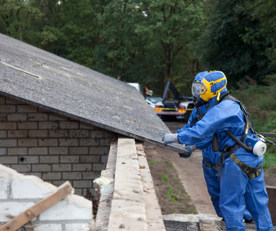 bee removal brentwood, southern california bee removal, bee removal, damage repair