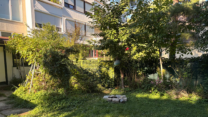 Eine Wärmepumpe in der Natur Integriert_edited.jpg