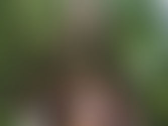 Comemorar os antepassados: Estamos aqui por eles!!!