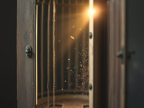 O Passarinho na Gaiola: Quando a Escassez Paralisou Meu Coração