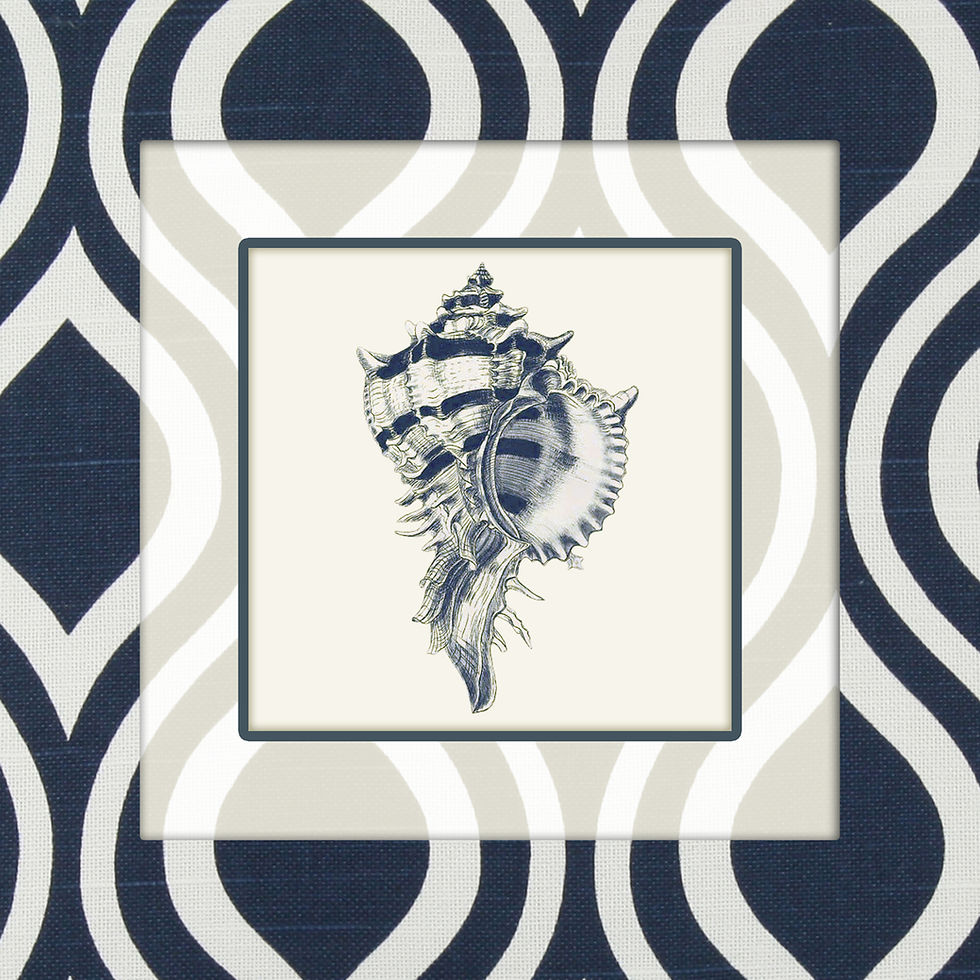 opshell blue frame 2209-188