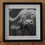 Thumbnail: WILD ANIMALS | The buffalo