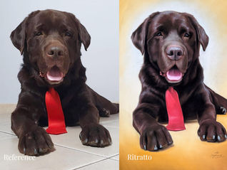 Ritratto animale