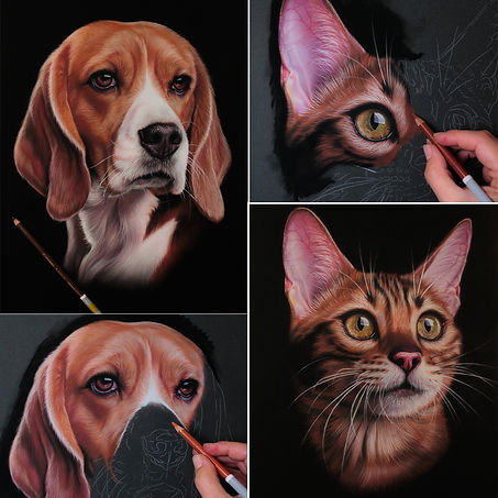 Disegnare gli animali a pastello