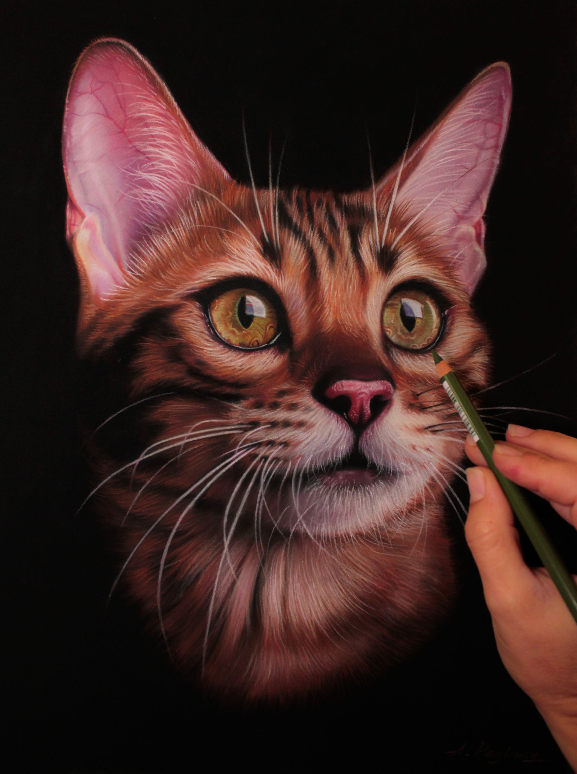 Corso online disegno pastello