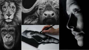 LISTA MATERIALI - Disegno a carboncino