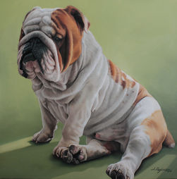 Oil dog portraits