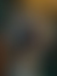 Animali selvaggi a colori