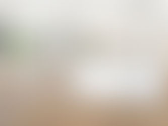 Bright open-plan Brisbane home with hybrid flooring