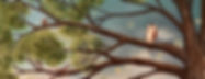 Joyful Branches_edited.jpg