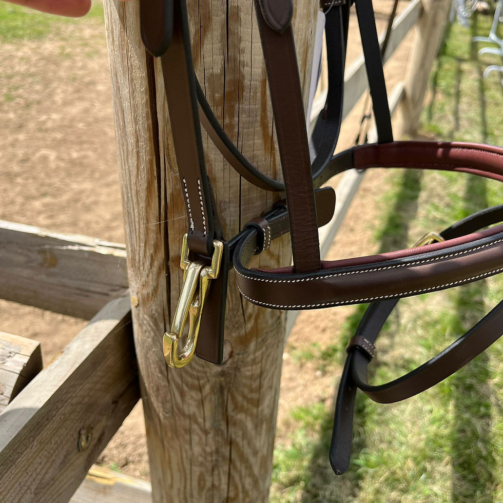 Thumbnail: Bridon Functional Marron - HFI