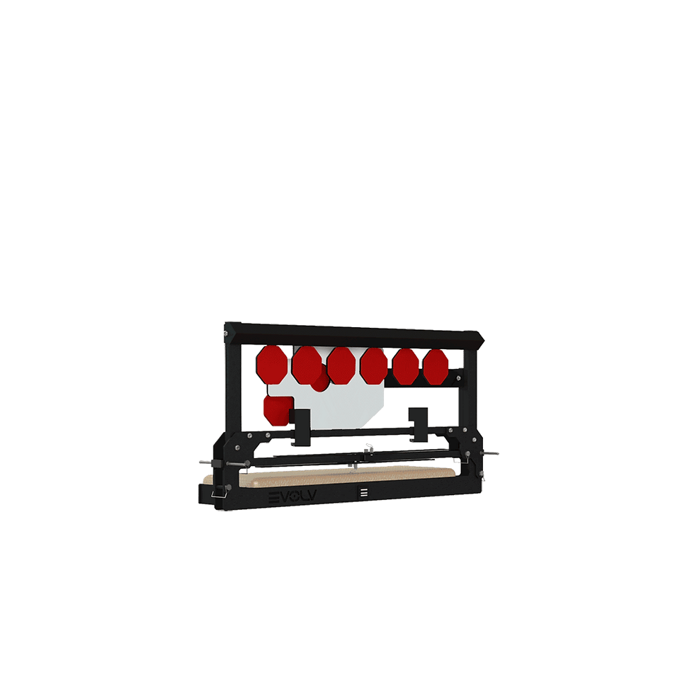 Evolv Portable Target System