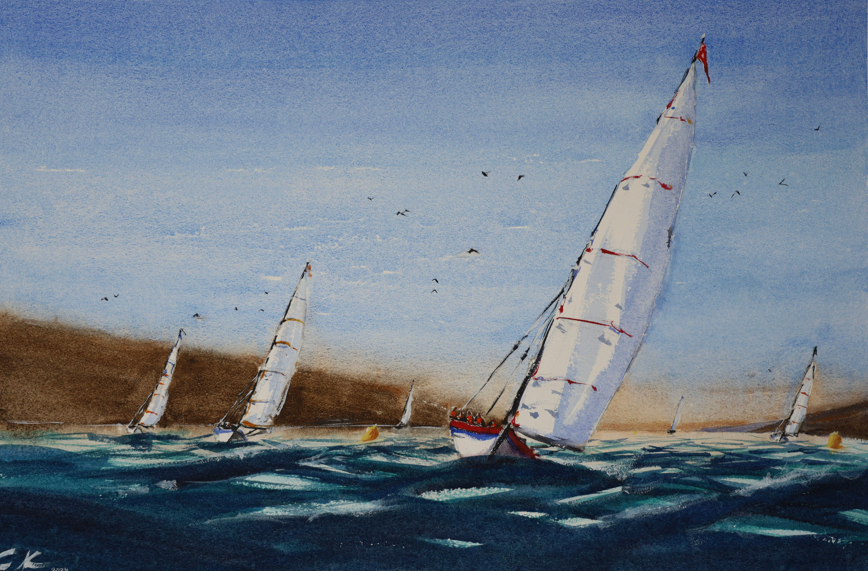 Boat Racing