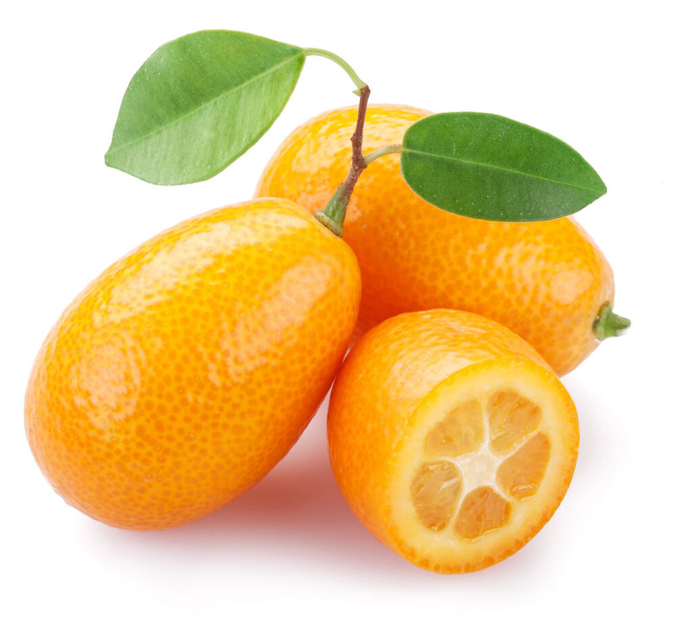 Thumbnail: Kumquat 